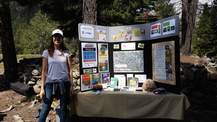 Info table at the Haylmore Site