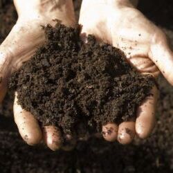 Know the source of your soil.