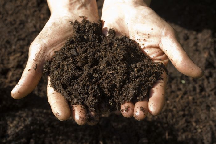 Know the source of your soil.